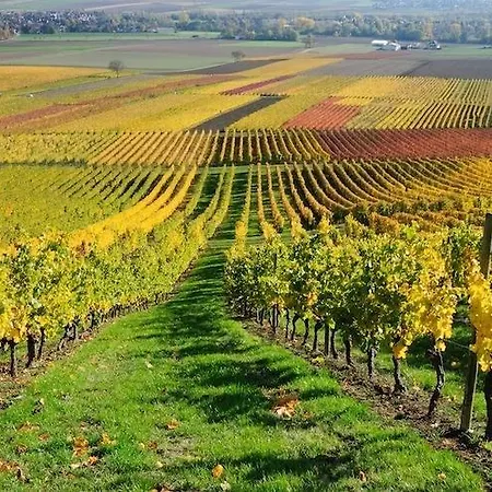 Cascina Manu 3*