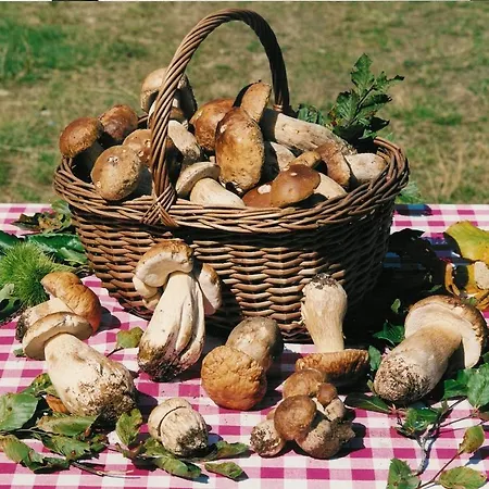 Cascina Manu