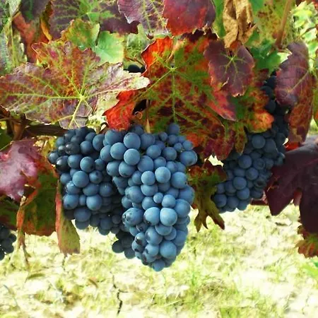 Cascina Manu 3* Rosignano Monferrato