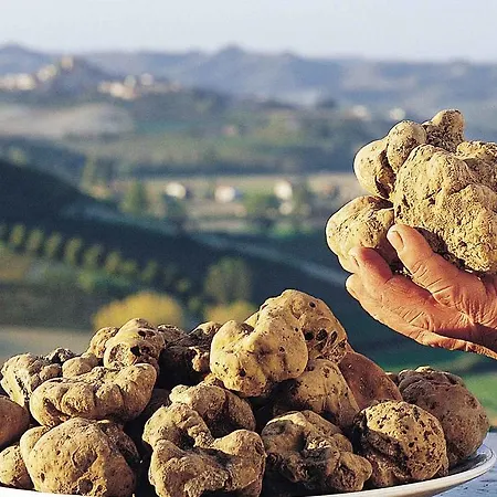 Cascina Manu Bed & Breakfast Rosignano Monferrato