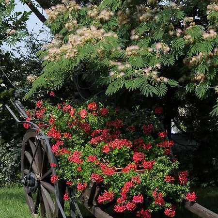 Cascina Manu 3* Rosignano Monferrato