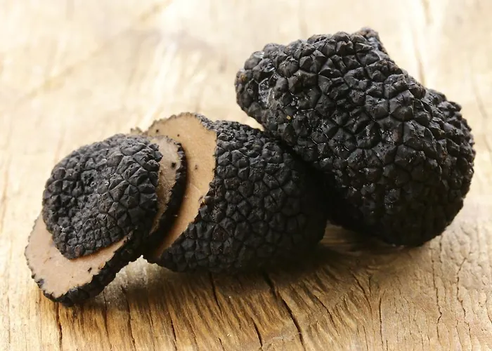 Bed and Breakfast Cascina Manu Rosignano Monferrato