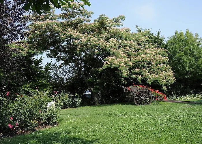 Cascina Manu Bed and Breakfast