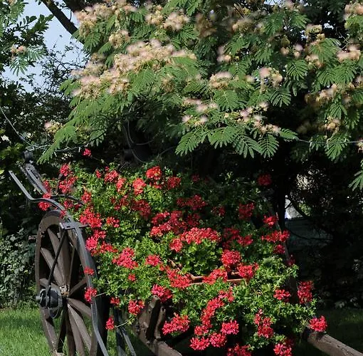 Cascina Manu 3* Rosignano Monferrato